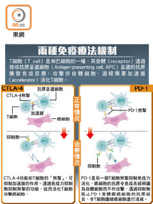 兩種免疫療法機制