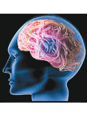 3D打印人腦組織有助深入了解腦部運作。（資料圖片）