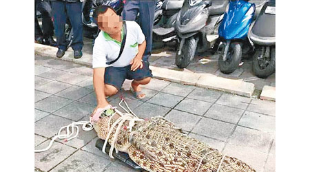 養殖業者帶鱷魚到台行政院陳情。（互聯網圖片）