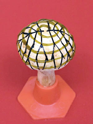 菇帽上以3D打印了電子墨水和生物墨水。