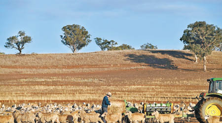 中澳關係漸趨緊張，澳洲曾否決中方收購農牧場。