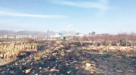 涉事地點一帶的泥土被燒焦。（互聯網圖片）