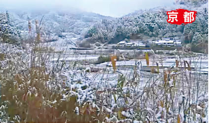 京都府福知山下初雪。（互聯網圖片）