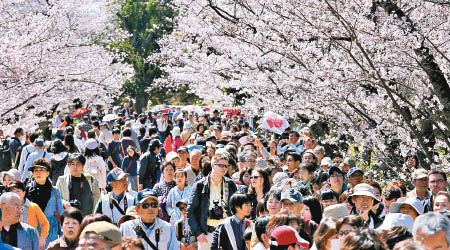 到訪日本旅客人數再創新高。