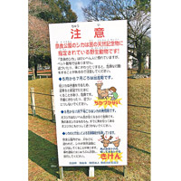 奈良公園豎立有關觀賞鹿隻的告示。