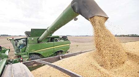 中方承諾大幅進口美國大豆等農產品。（美聯社圖片）