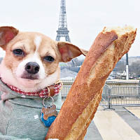 沃倫曾遊覽巴黎鐵塔。