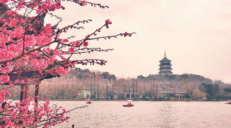 雷峰塔是杭州著名景點。（互聯網圖片）