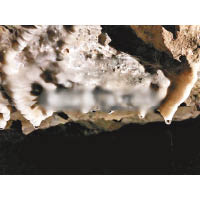 洞內有多處鐘乳石。