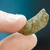 原始人懂得使用石頭薄片。