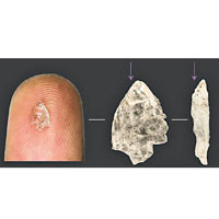 部分石英薄片比人的手指頭還小。（埃默里大學圖片）