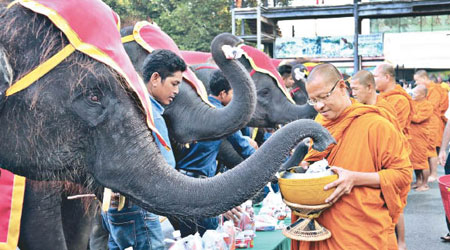 大象參與布施儀式。