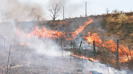 陝西<br>山火不斷向周邊蔓延，且冒出濃煙。