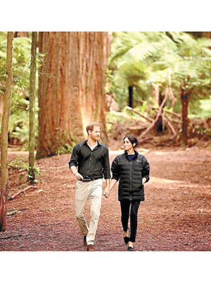 哈利夫婦去年外訪新西蘭，於紅木森林中合照。