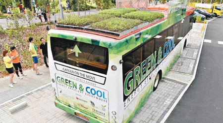 綠色巴士已投入試行服務。