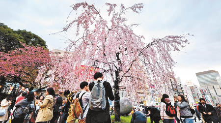 日本為中國人熱門旅遊地點。（互聯網圖片）