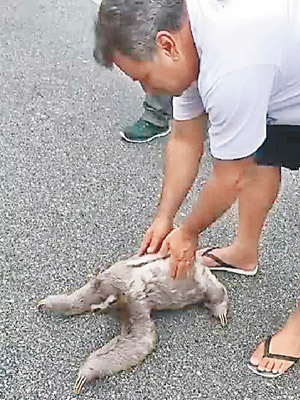 救離車路