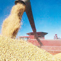 中美貿易摩擦升級後，美國大豆業受打擊。