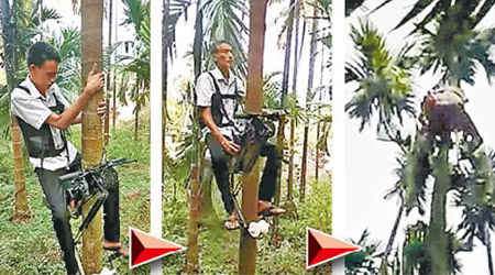 爬樹電單車可在半分鐘內爬上高三十米的棕櫚樹。
