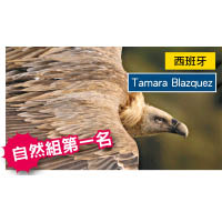 自然組第一名<br>西班牙 Tamara Blazquez