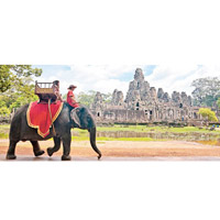 暹粒省吳哥大象委員會宣布，由明年初起終止旅客騎大象項目。