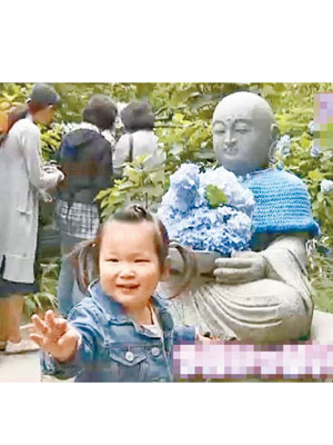 小孩子也被盛放的繡球花吸引。