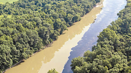 威士忌流入肯塔基河，導致河水變色。（美聯社圖片）