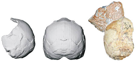 研究人員以電腦技術重塑Apidima 1化石（右）的數碼影像（左一及二）。（美聯社圖片）