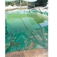 網上照片顯示，水被污染成綠色。（互聯網圖片）