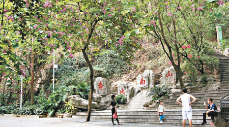 南山公園月內曾有三人被蛇咬傷。（互聯網圖片）