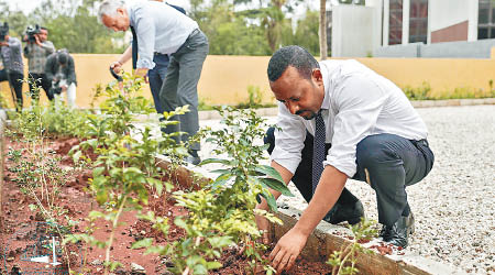 總理阿比‧艾哈邁德（右）親力親為植樹。