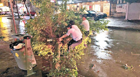 救災人員合力移走市面的塌樹。（互聯網圖片）