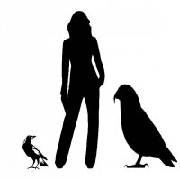估計巨鸚鵡有半個人高。