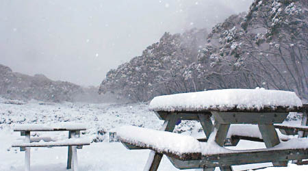 澳洲南部有暴風雪吹襲。
