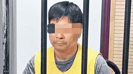 王振華涉猥褻女童被捕。（互聯網圖片）