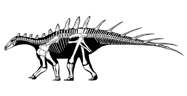 新品種遠古劍龍橫行中侏羅紀