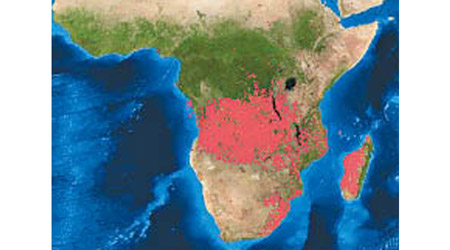 非洲山火示意圖