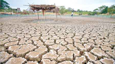湖南鄉村的農地乾旱龜裂。（互聯網圖片）