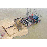 長江沿岸非法採沙猖獗。（互聯網圖片）