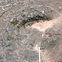 凹坑被指是恐龍足印化石。（互聯網圖片）