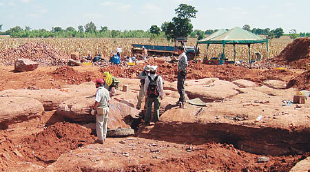 化石早前在泰國出土。
