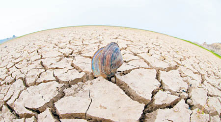 江西多地持續乾旱，地面出現龜裂。（互聯網圖片）