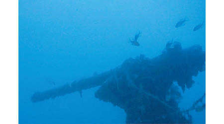 團隊在地中海海底下發現催促號殘骸。
