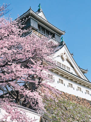 日本九州名勝眾多，深受遊客歡迎。