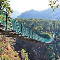 涉事的奧萬大森林遊樂區吊橋。