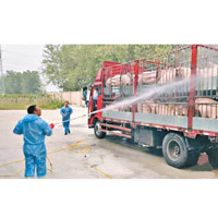 連雲港市日前爆發非洲豬瘟，職員加強清潔豬隻。（互聯網圖片）