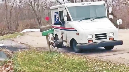 火雞死跟郵政車。