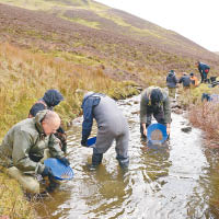 不少淘金客會在蘇格蘭的河流尋寶。