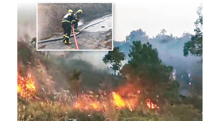 佛山的山火猛烈燃燒，消防員(小圖)在火場灌救。