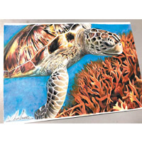 海龜畫得維妙維肖。